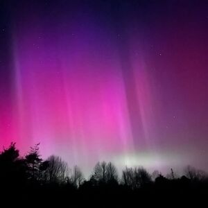 Meet your Posher, Fabibi